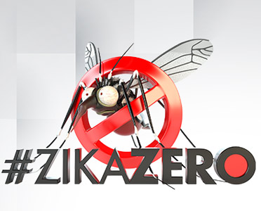 dengue